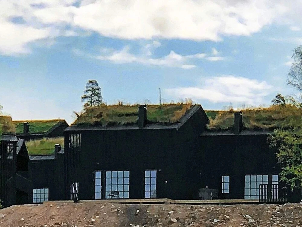 Holiday Home in Sälen