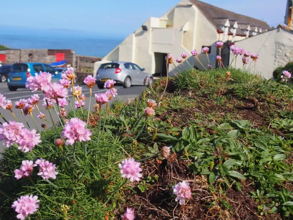 Hartland Quay Hotel - Chambres