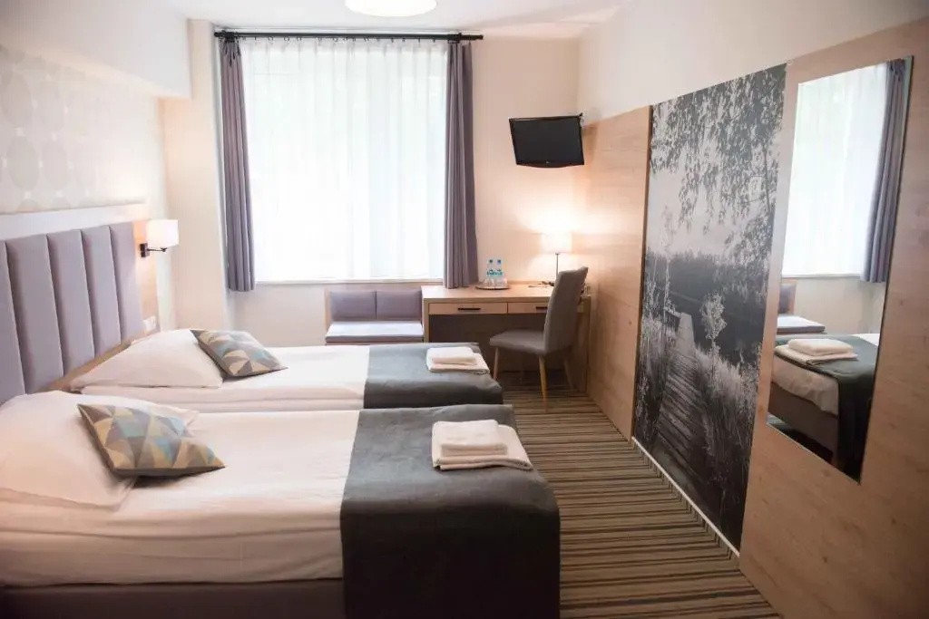 Standard Double room (twin beds)