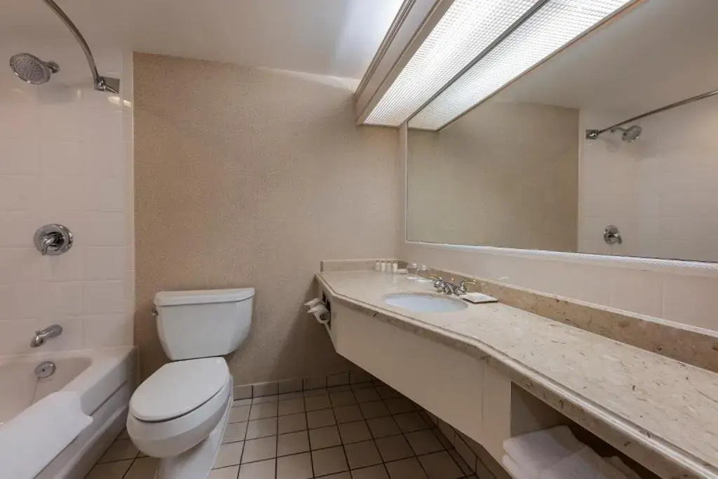 Standard Double room with city view (full double bed)