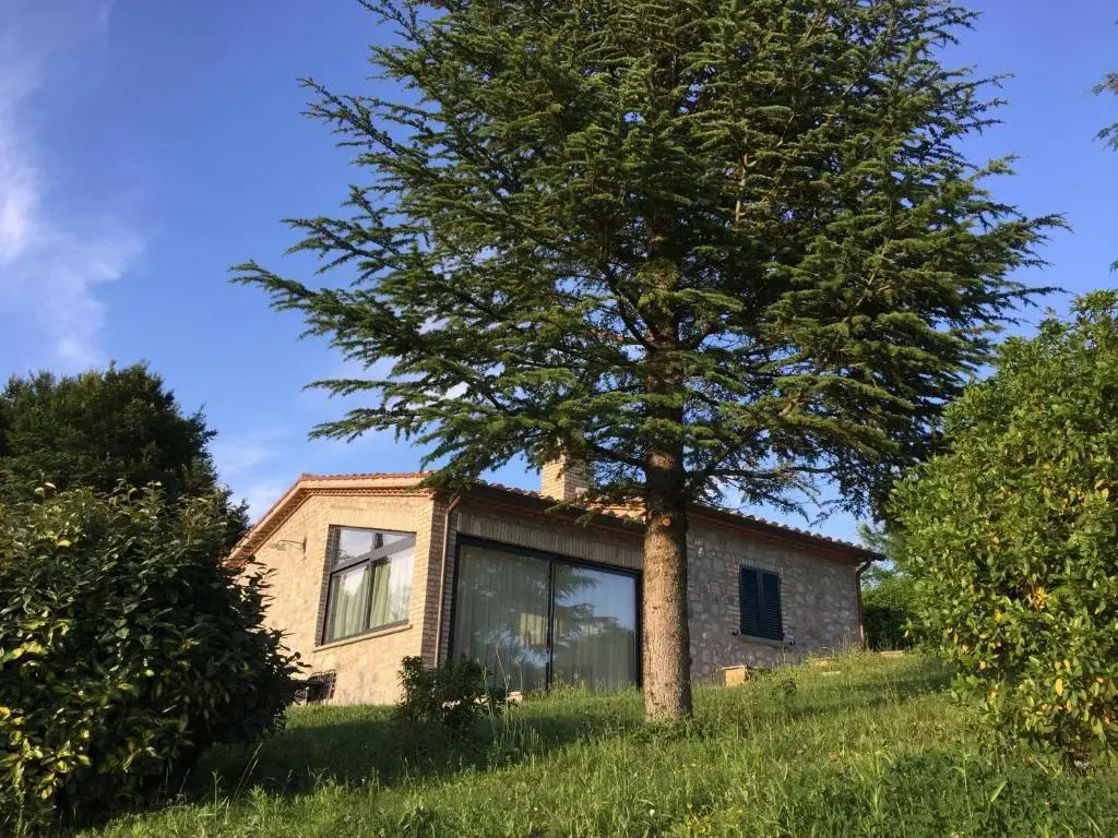 Agricola Caicucci