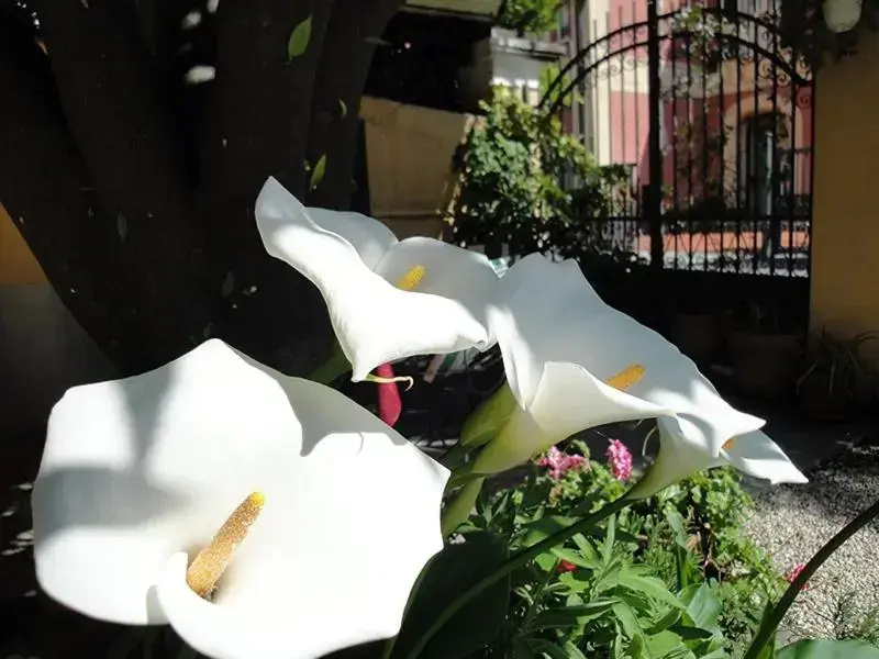 Hotel Miranda - Chambres