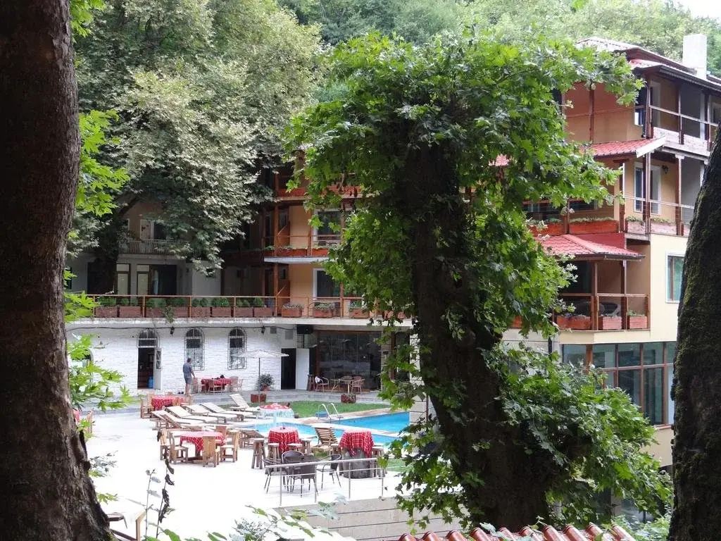 Balcony & Terrace