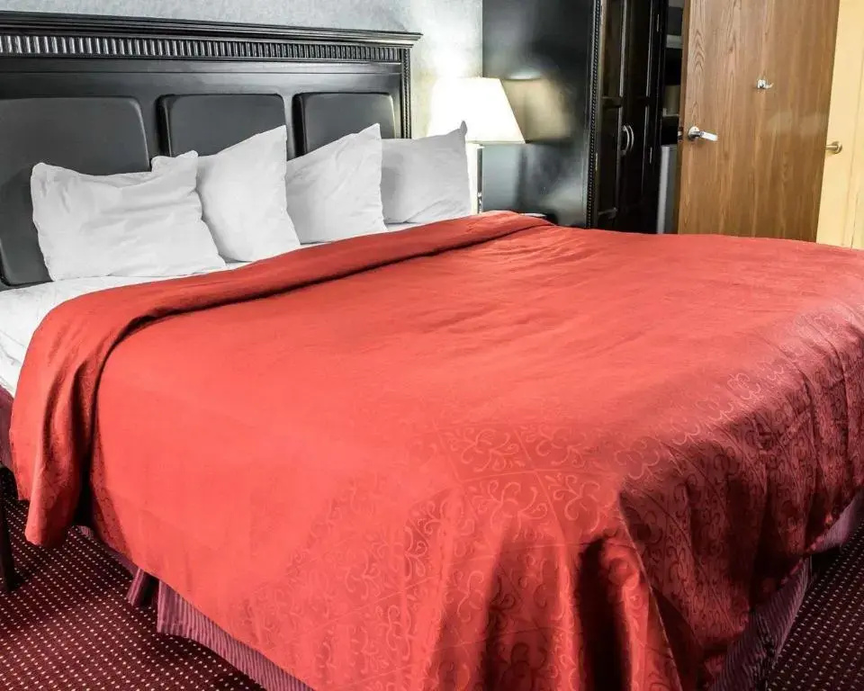 Quality Inn & Suites Gibsonia - Pittsburgh North - Chambres