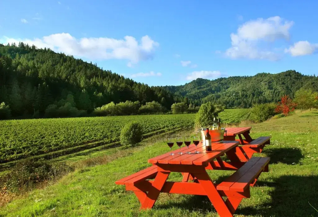 West Sonoma Inn & Spa - Chambres