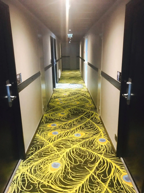 Greet Hotel Bordeaux Floirac Arena - Général