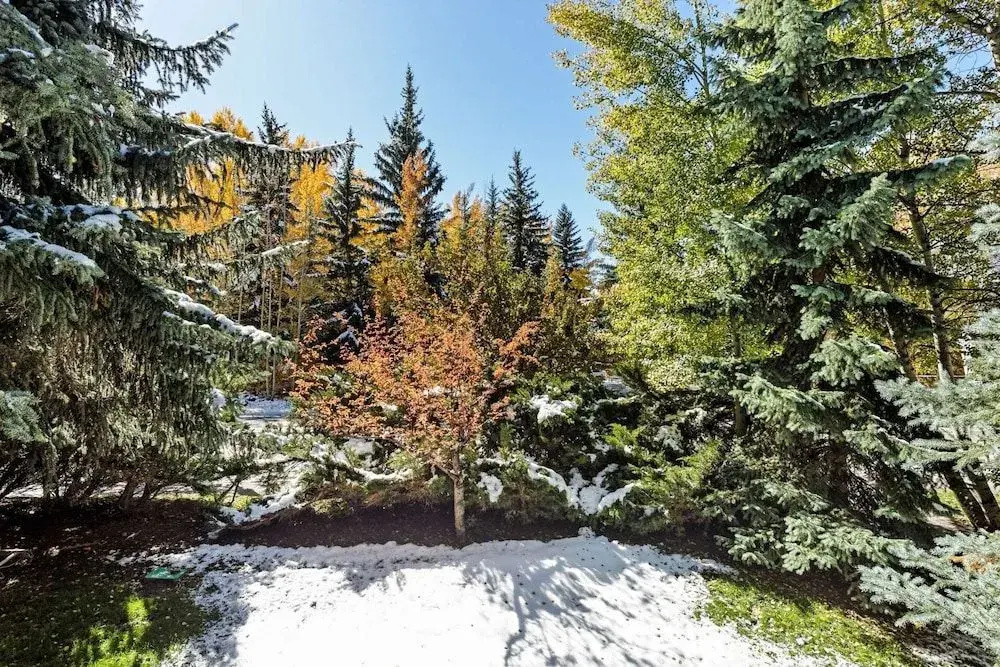 Sagewood Condos by iTrip Aspen Snowmass