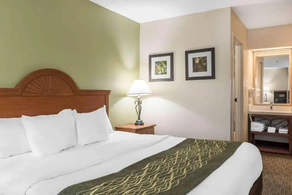 Comfort Inn Pine Grove I-81 Hershey Area - Chambres