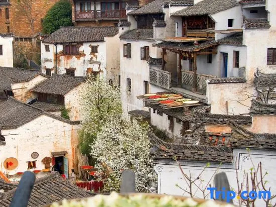 Wuyuan Leye Mountain House (Huangling Scenic Area Terraced Fields Flower Sea)