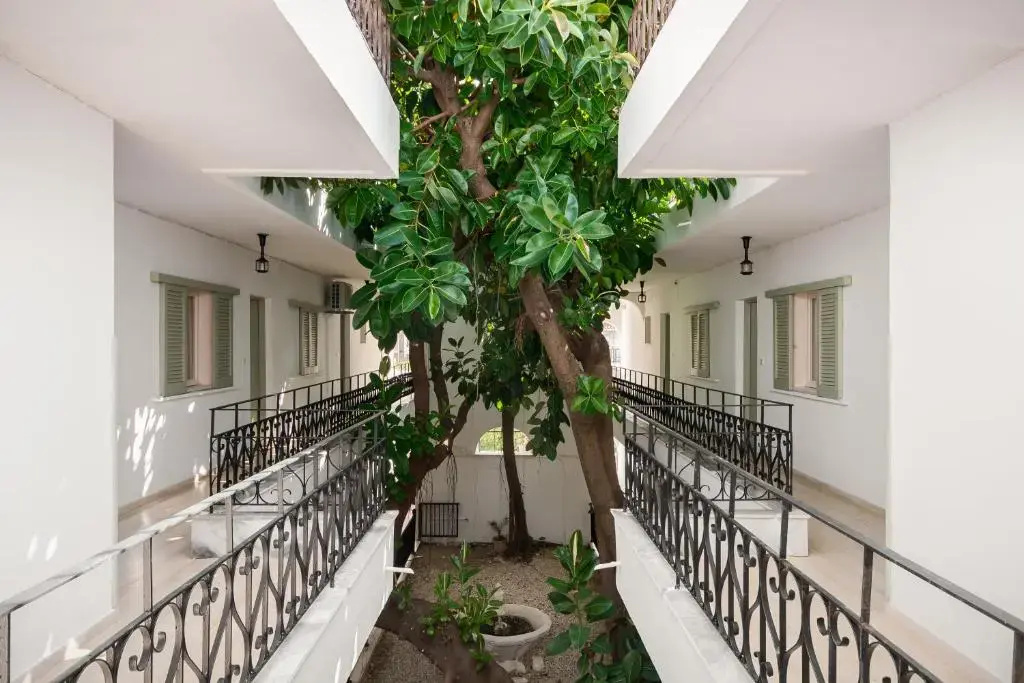 Balcony & Terrace
