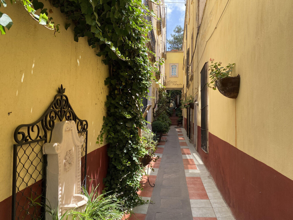 Image 13