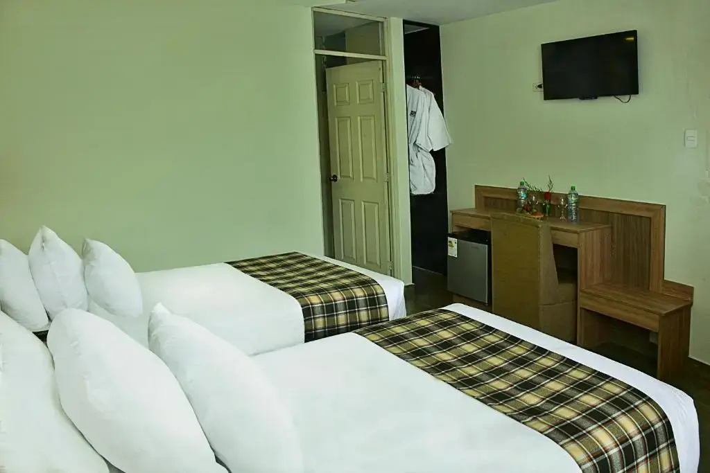 Standard Double room (twin beds)