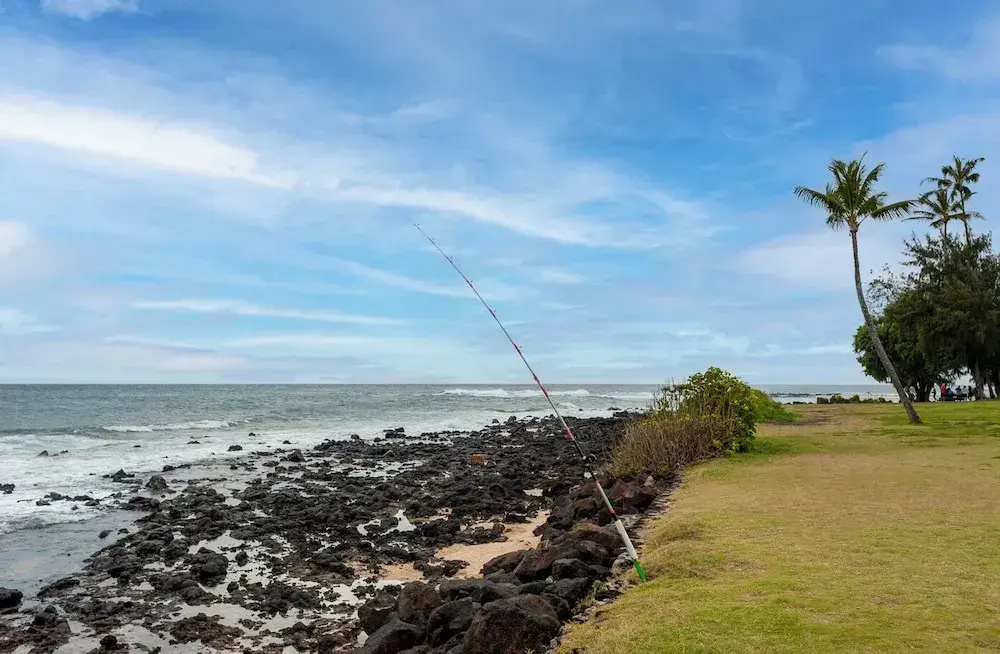 Beach & Waterfront
