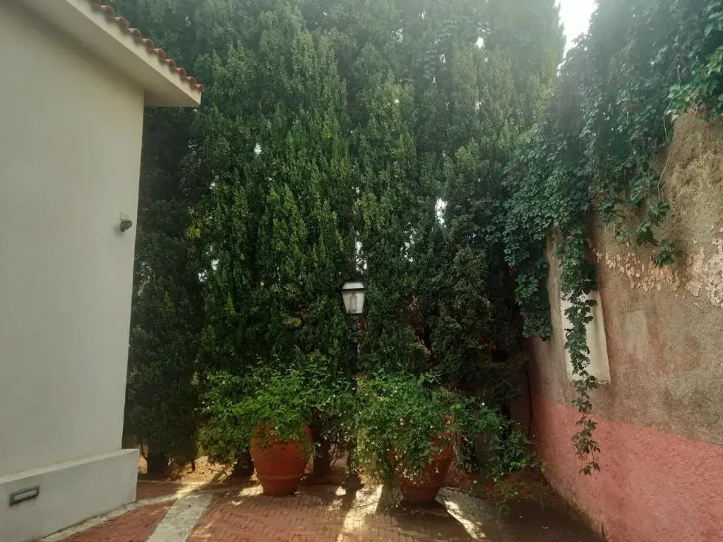 Hotel photo 37