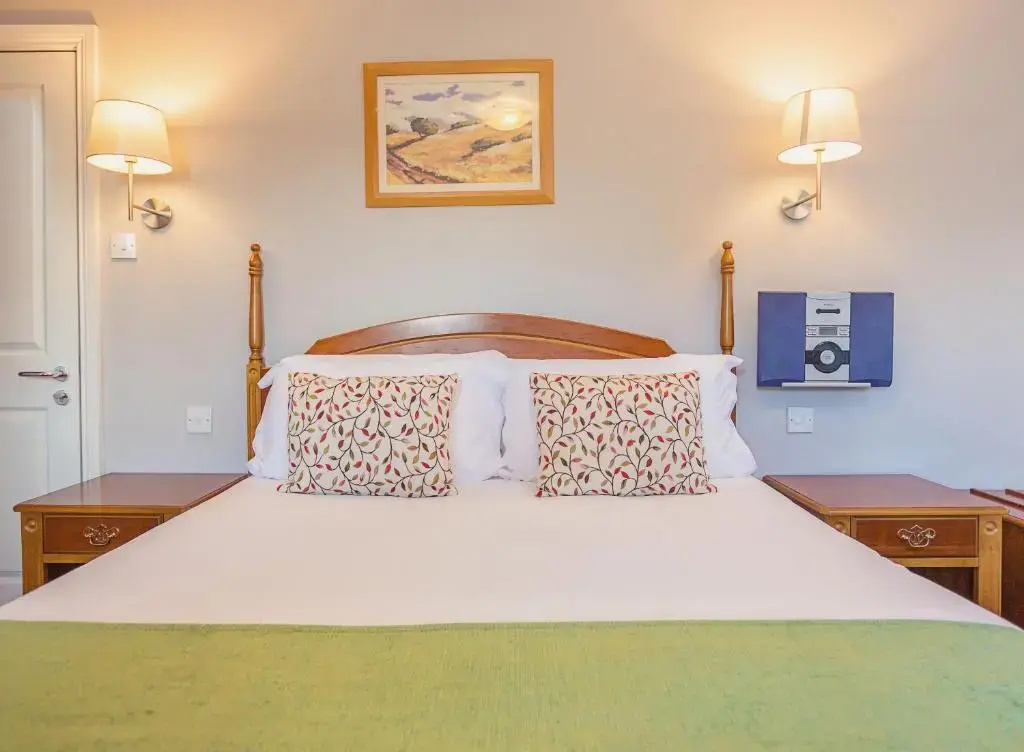 Standard Double room (full double bed)