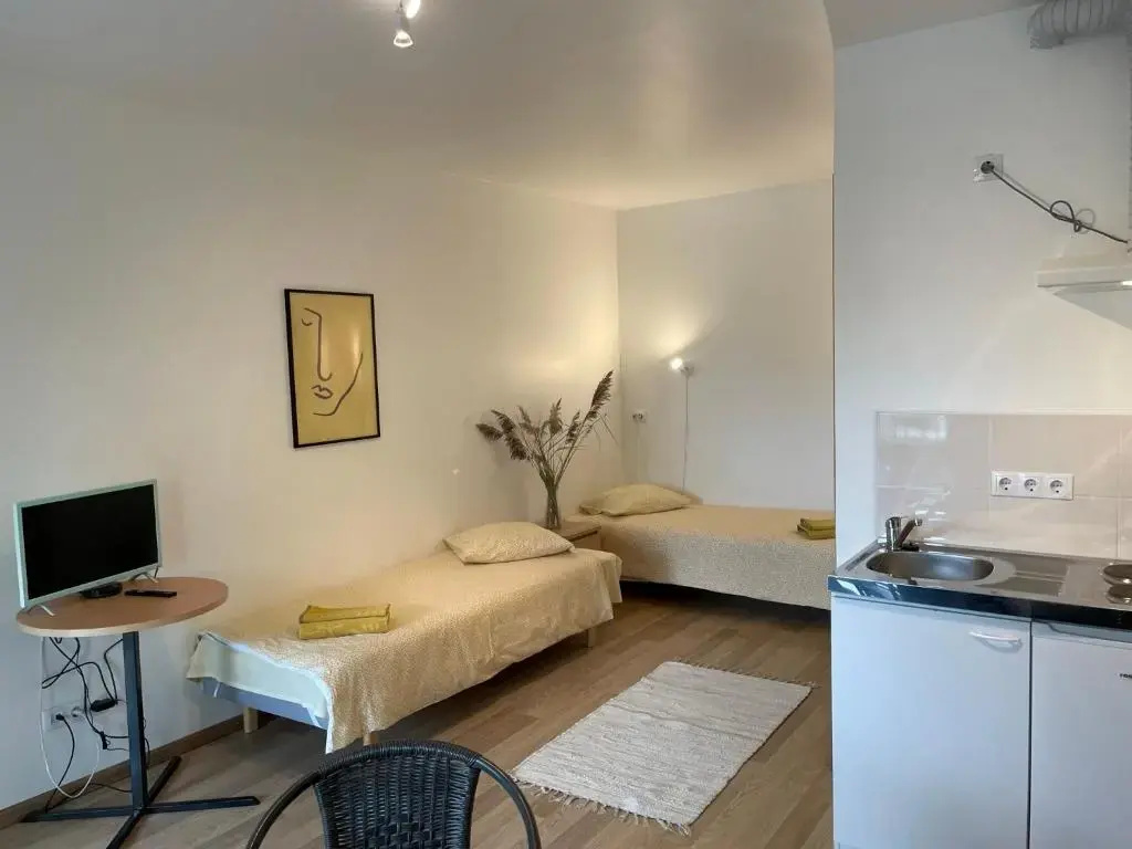 1 Bedroom Apartment
