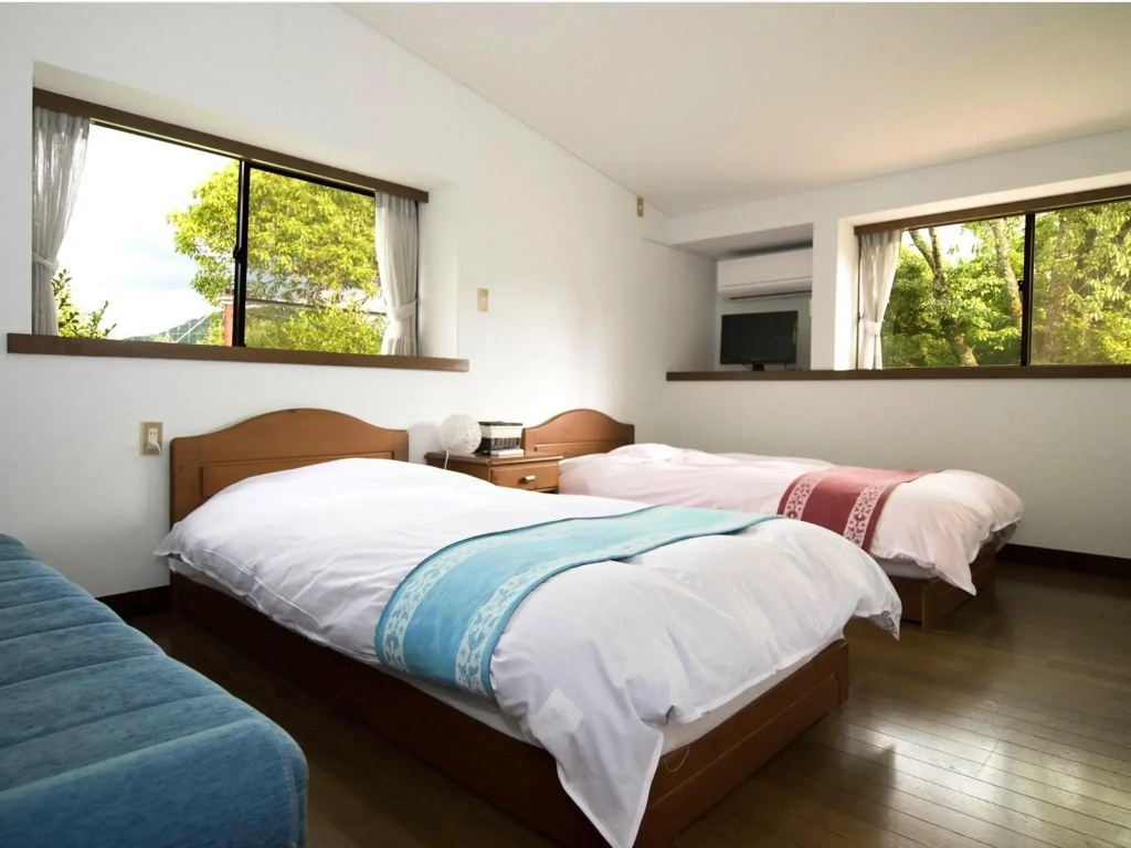 Standard Double room (twin beds)