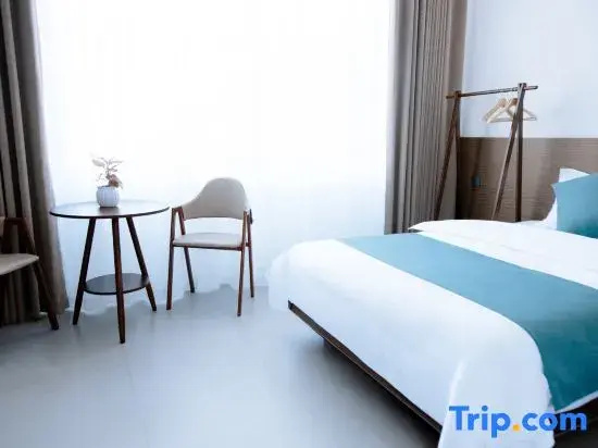 Standard Double Attic room (twin beds)