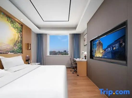 Standard Double room with city view (full double bed)