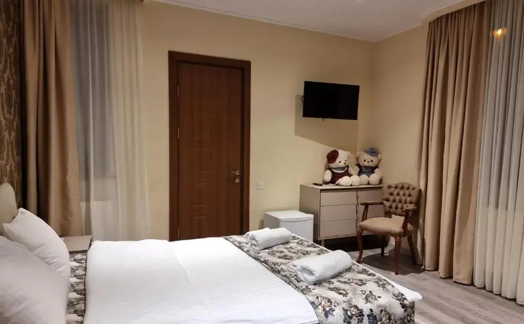 Standard Double room with mountain view (full double bed)