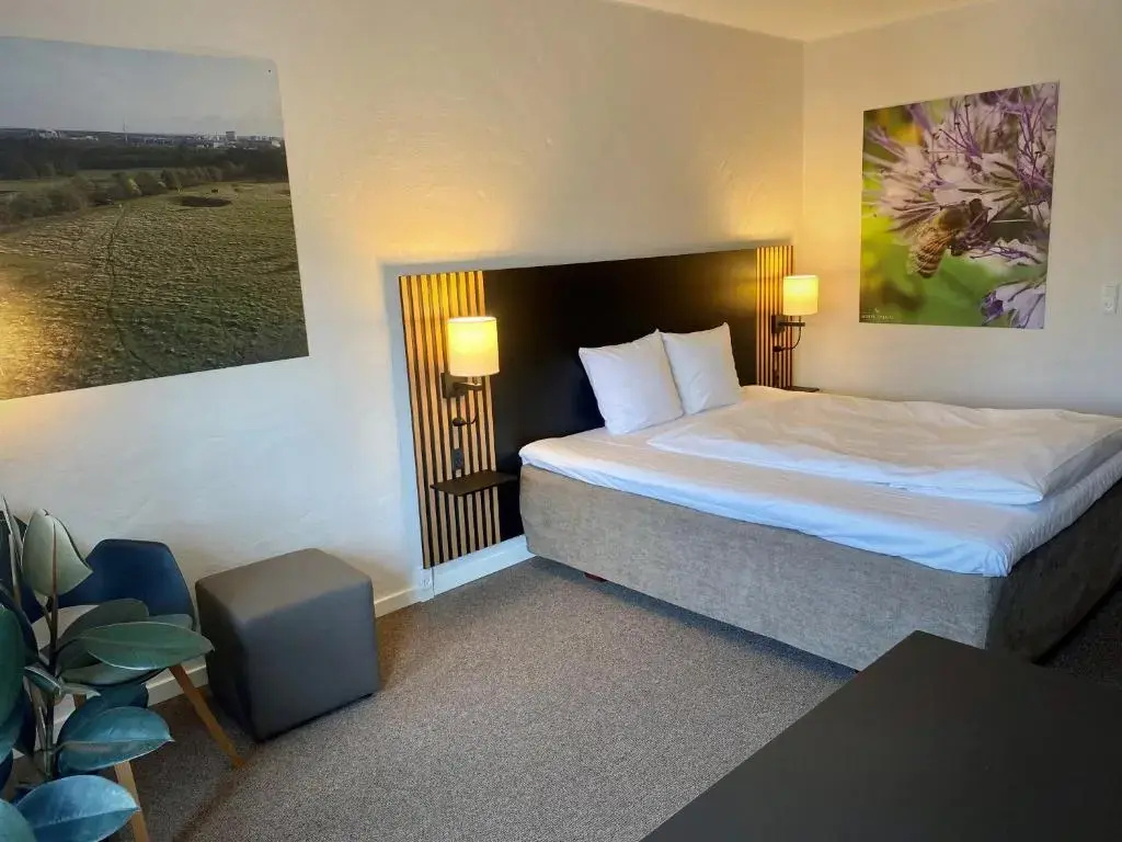 Standard Double room (full double bed)