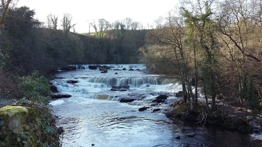 Willance House Guest House - фото 15