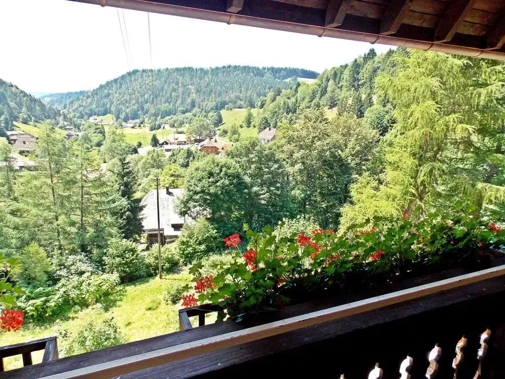 Ferienwohnung mit Talblick in Todtmoos