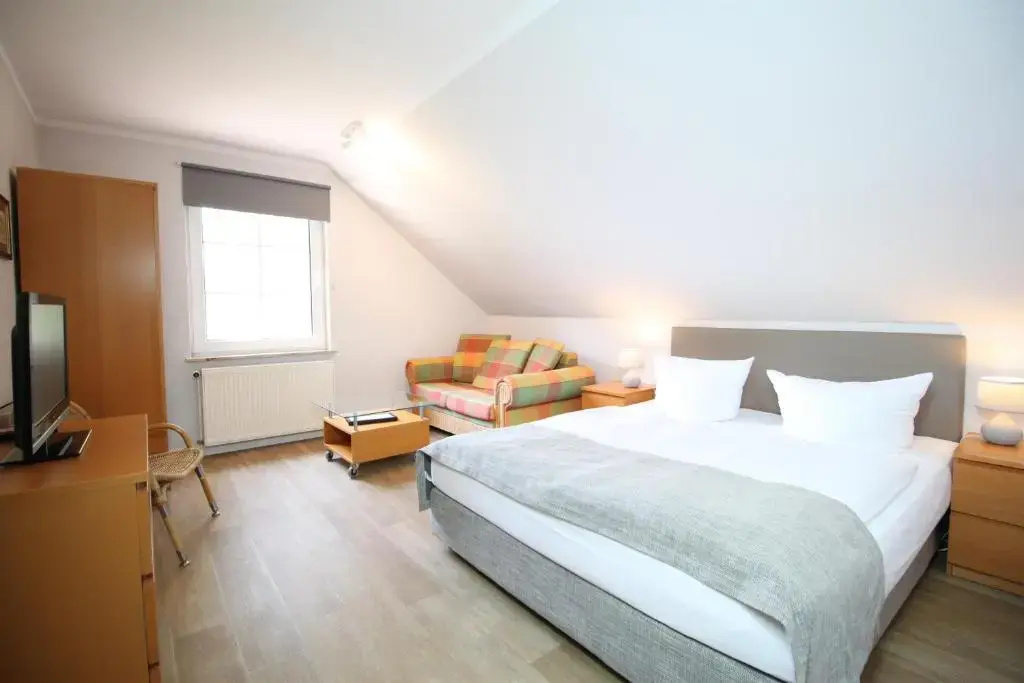 Standard Double room (full double bed)