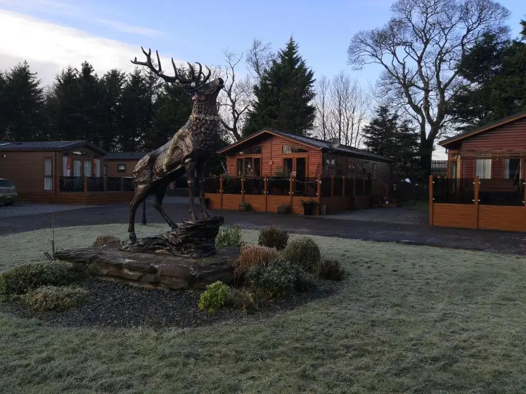 11 Burnside Lodge