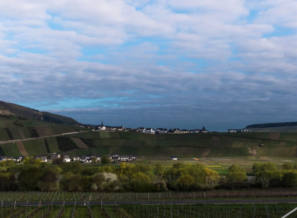 Weingut Tiliahof