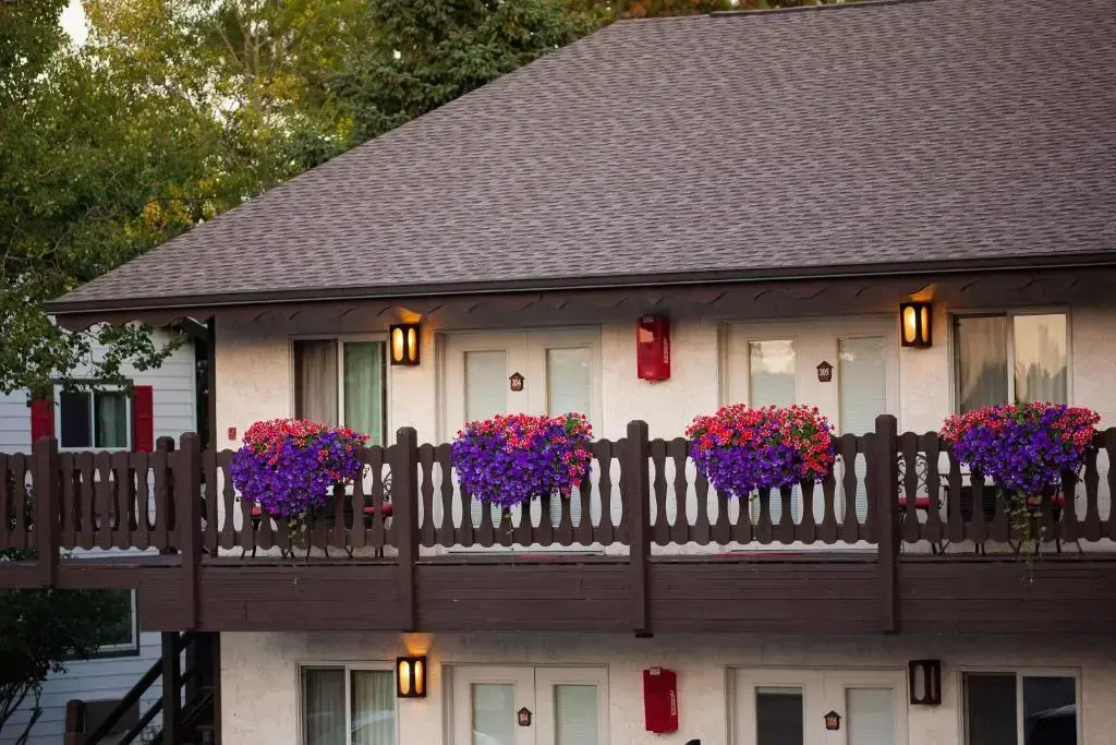 Bavarian Inn Black Hills