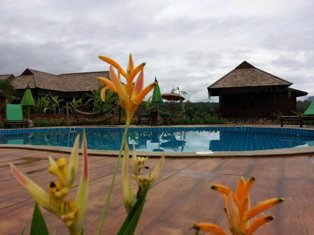 Shambave Pai Resort - фото 22
