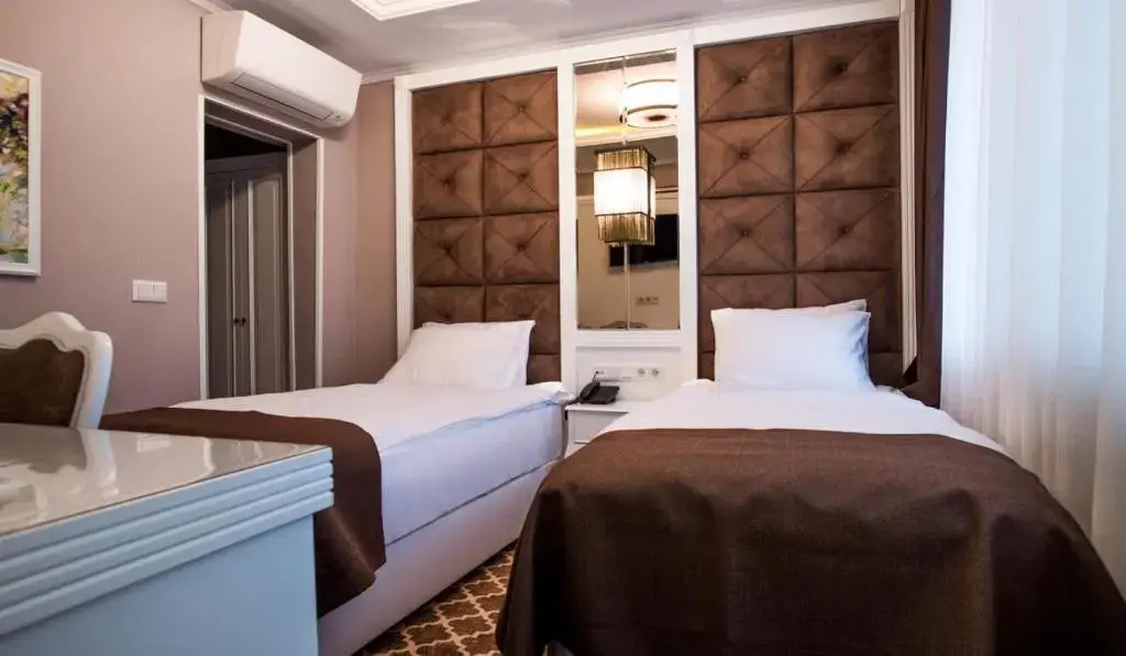 Standard Double room (twin beds)