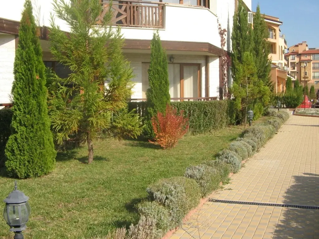 Image 11