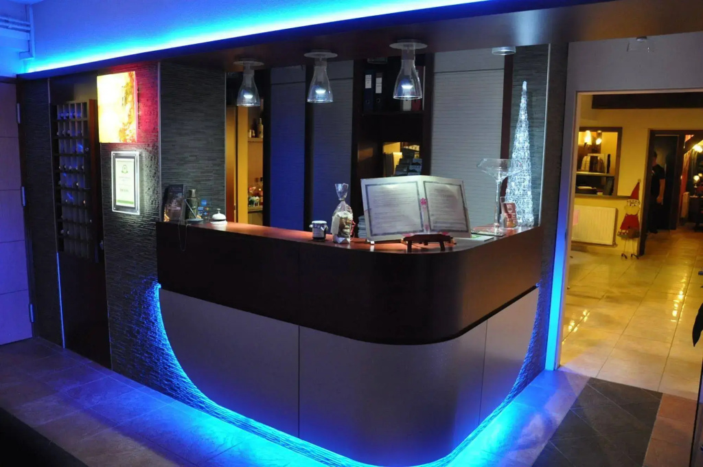 Brit Hotel et Spa COLMAR EAST - Général