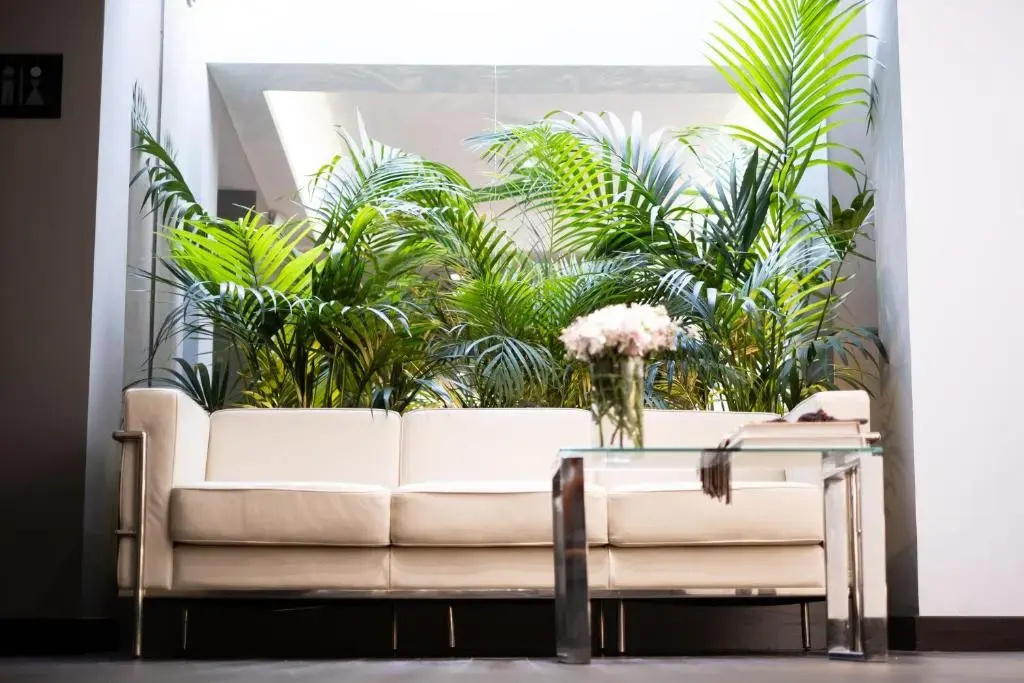 Balcony & Terrace