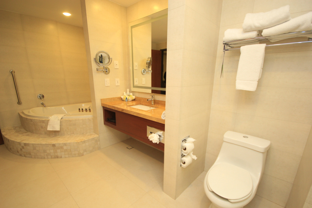 Holiday Inn Leon Plaza Mayor by IHG - Général