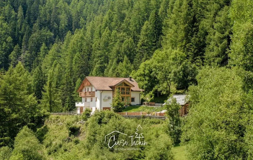 Ciasa Iachin Mountain Apartment
