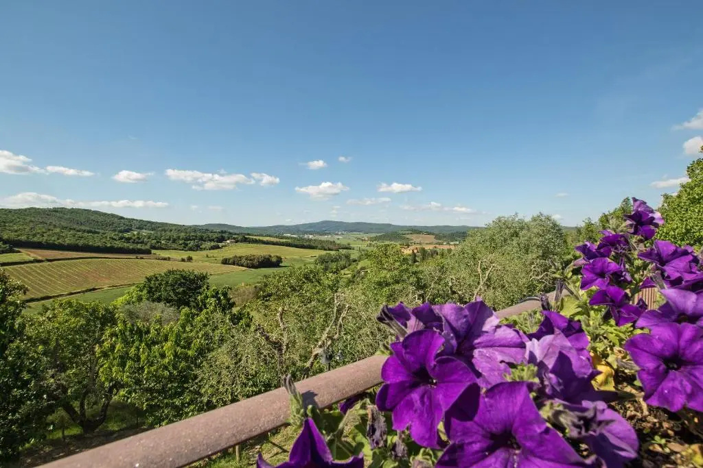 Podere Sant'Alessandro