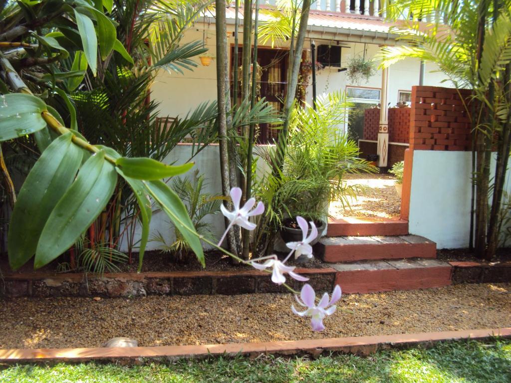 Angel Villa