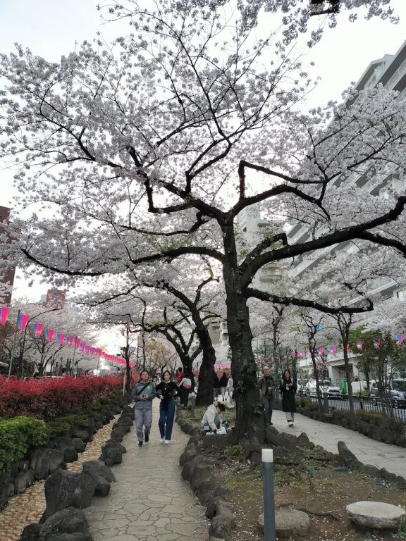 Hotel Belle Via Tokyo 사진 21