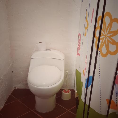 Отель Eco Language Hostel, фото 9