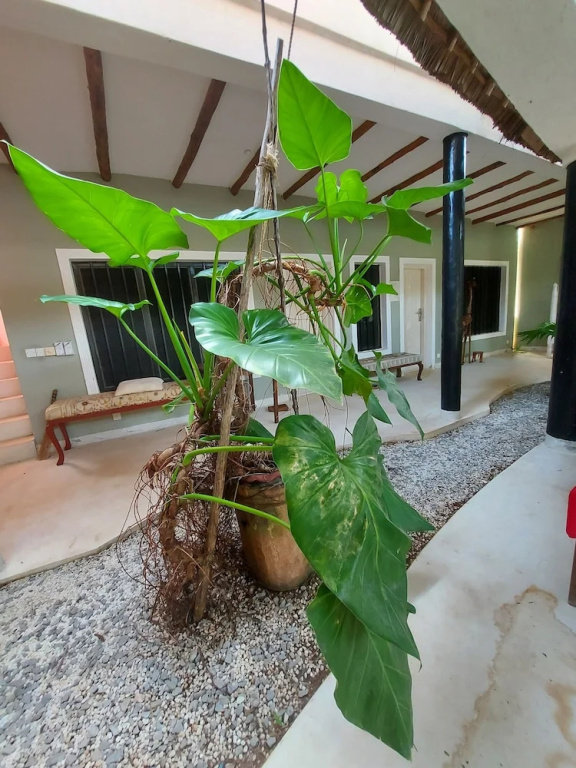 Hotel photo 35