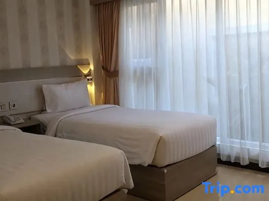 Superior Double room with city view (twin beds)