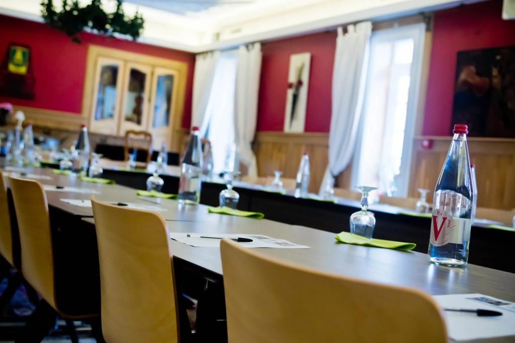 Hôtel et Spa Le Lion d'Or - Général