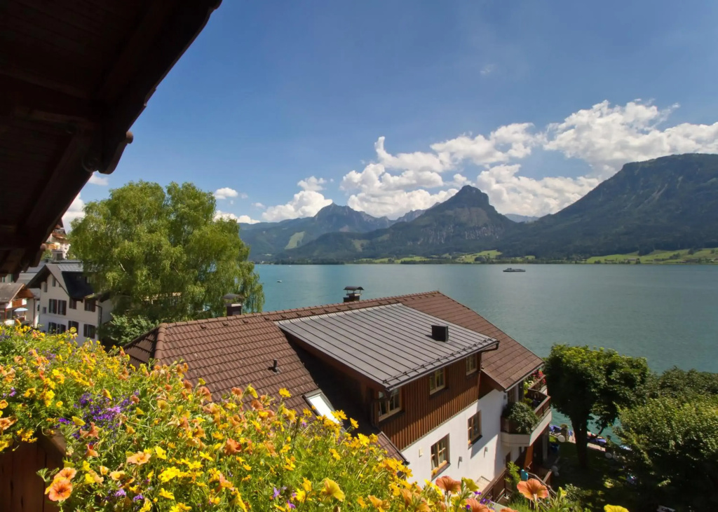 Seeboeckenhotel Zum Weissen Hirschen - Général