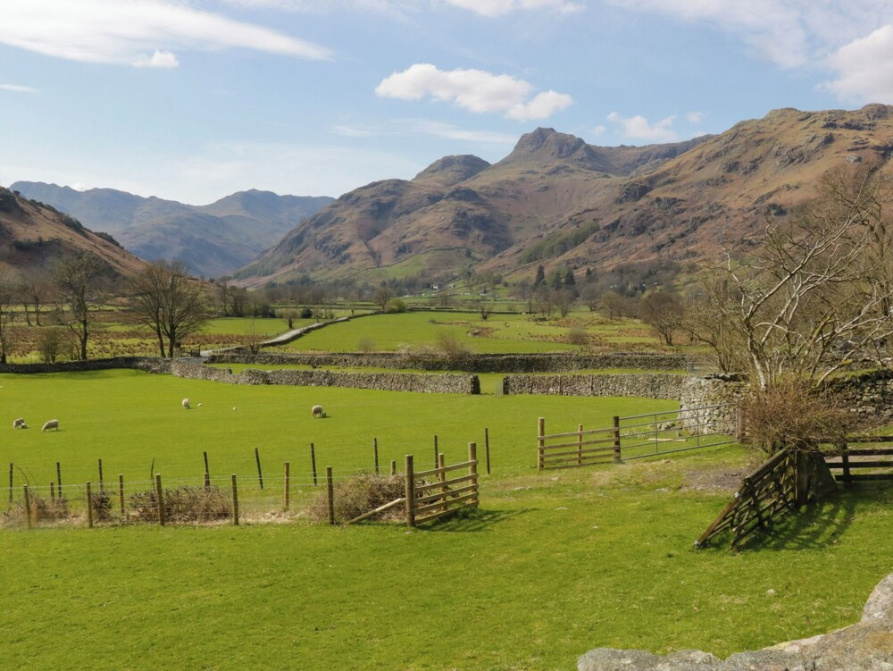 Thrang View