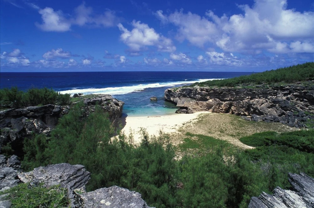 Image 10