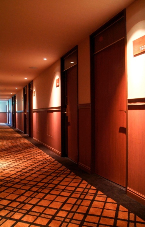 Ochanomizu Hotel Juraku 사진 33
