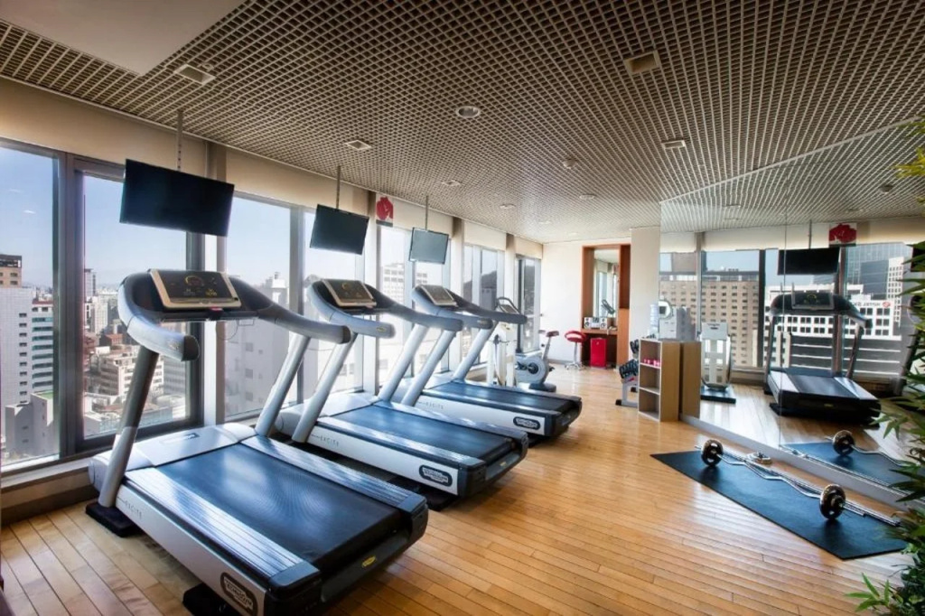 ibis Ambassador Seoul Myeongdong - Général